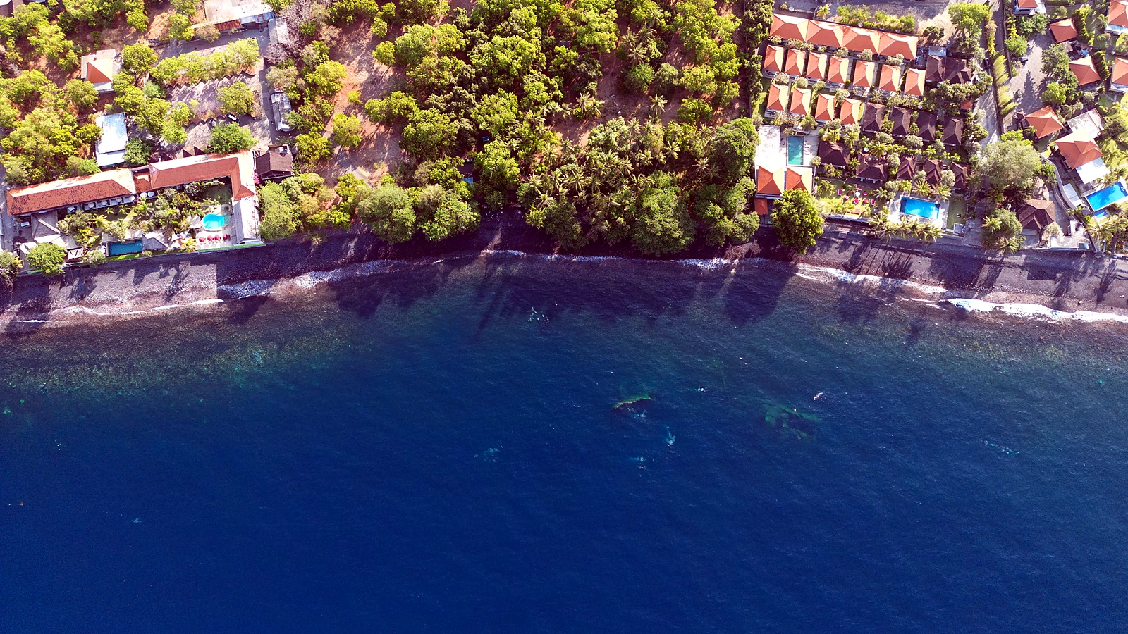 Knowledge that makes your Bali diving holiday better.