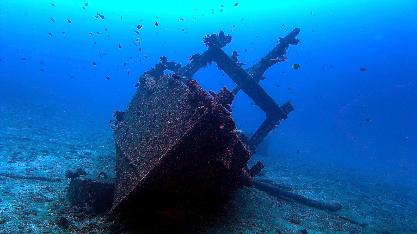 Menjangan Anchor Wreck: Bali underwater in detail.