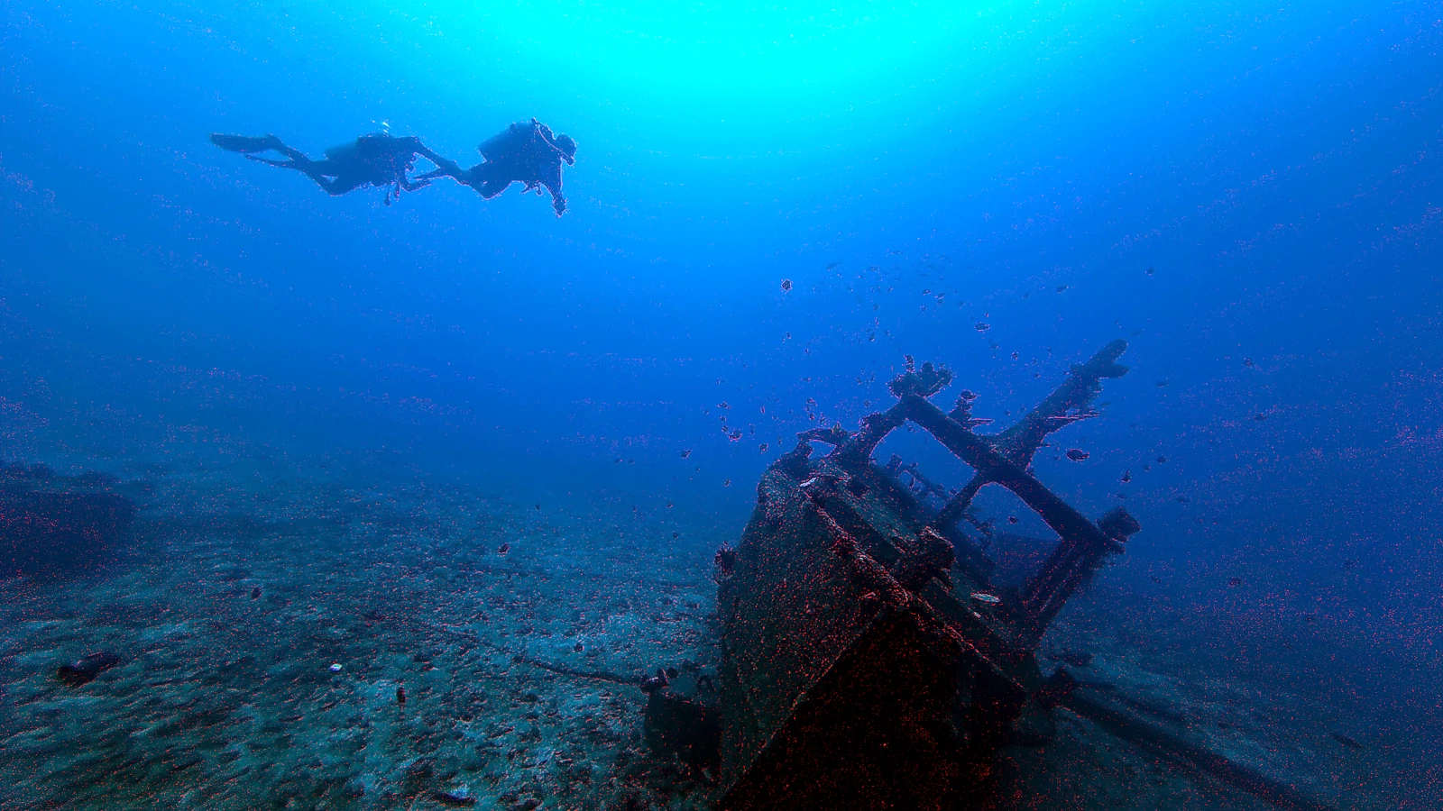 Japanese Wreck: Bali underwater in detail.