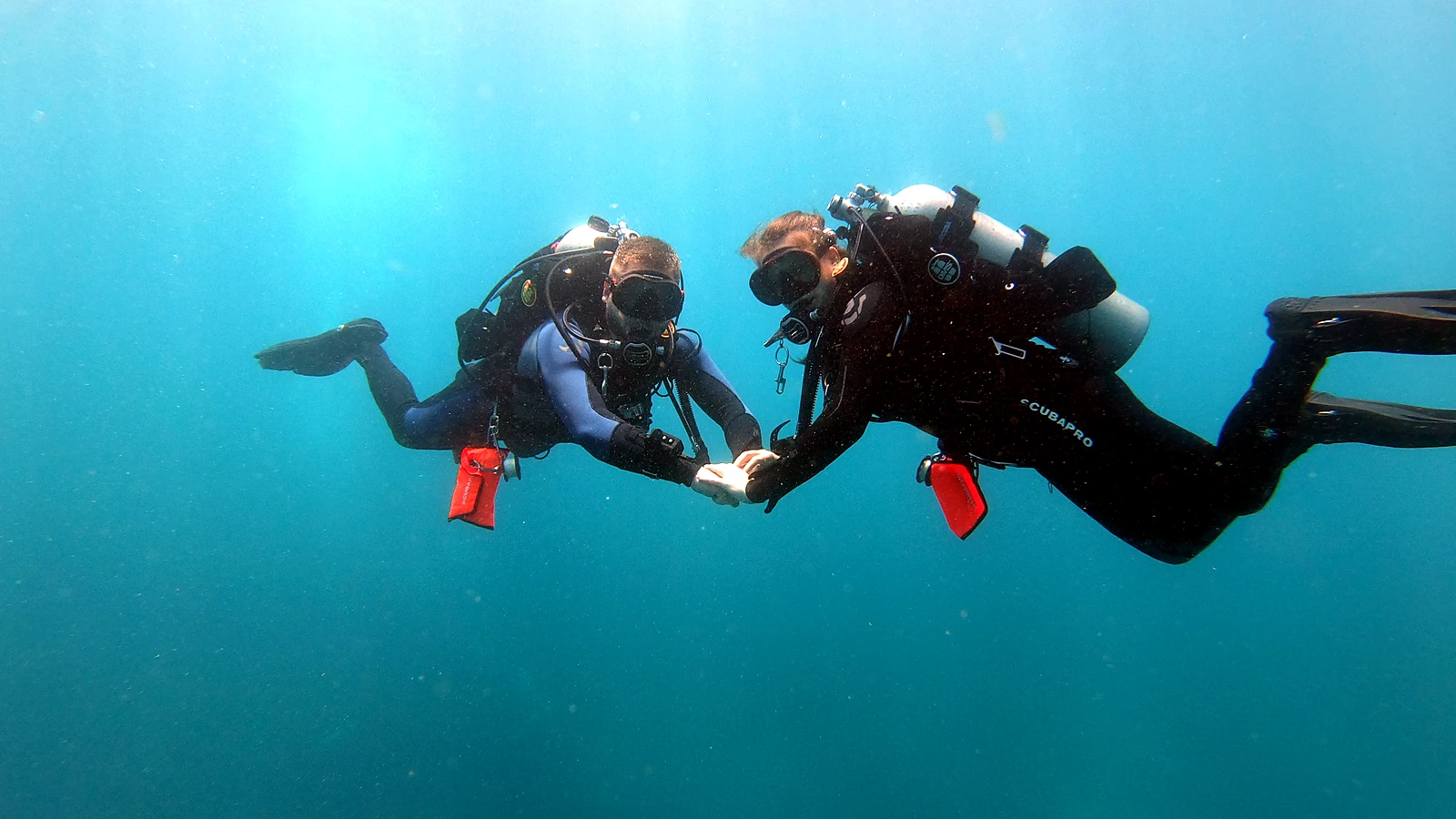 Learn to dive. Not just for the card — for every adventure after it.