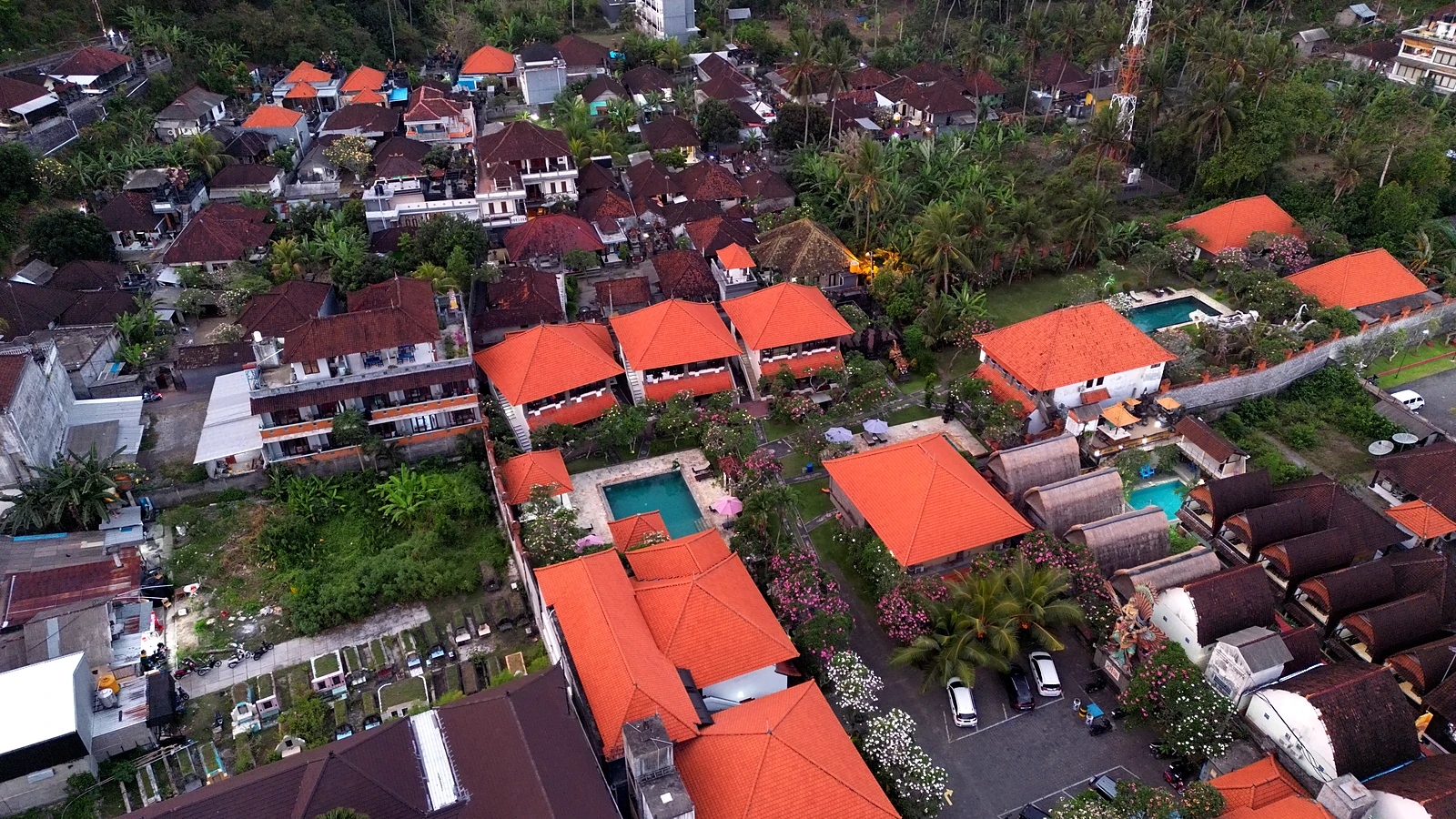 Cover image for the article: Bali Between Dives: Culture, Nature & Slower Roads