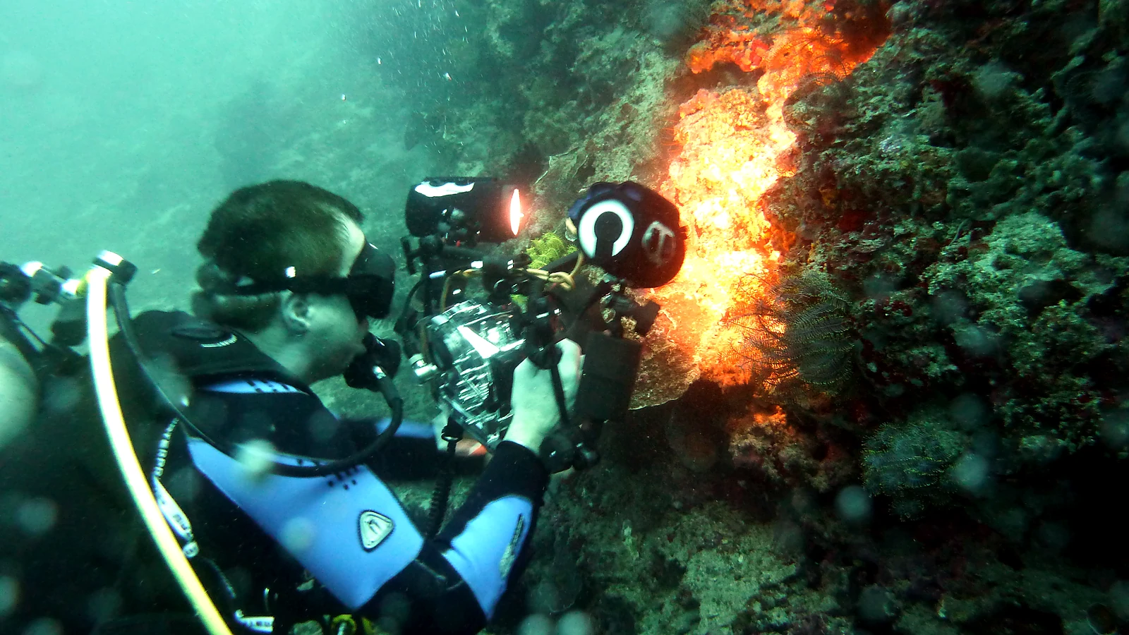 Cover image for the article: USAT Liberty Wreck Tulamben: History Meets Reef