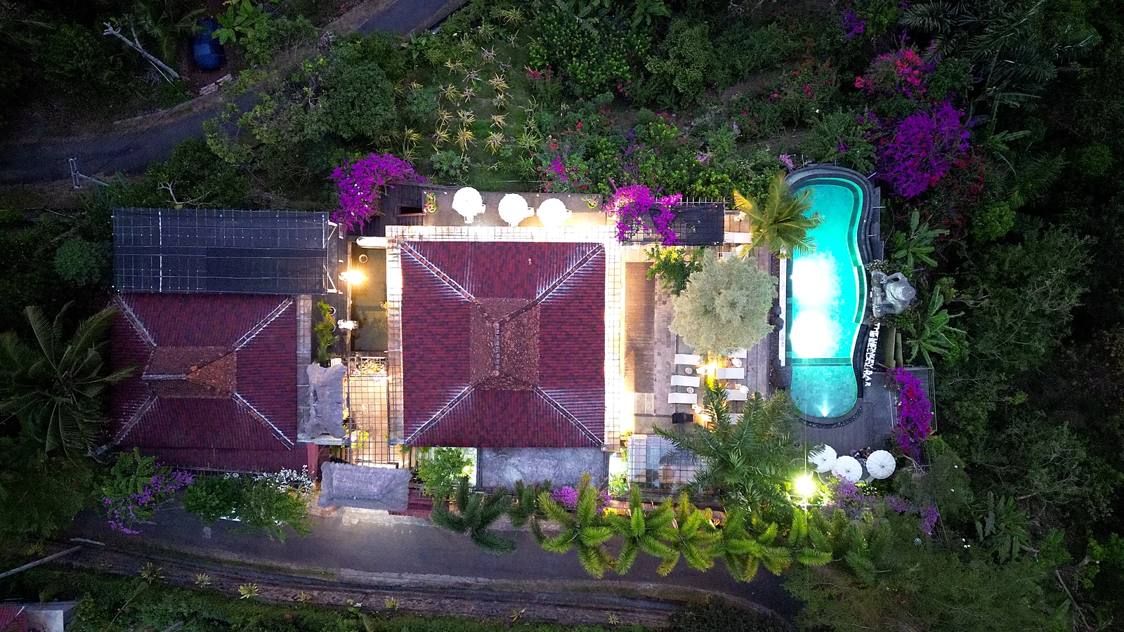 Cover image for the article: Bali Dive Holidays for Couples, Families & Non-Divers