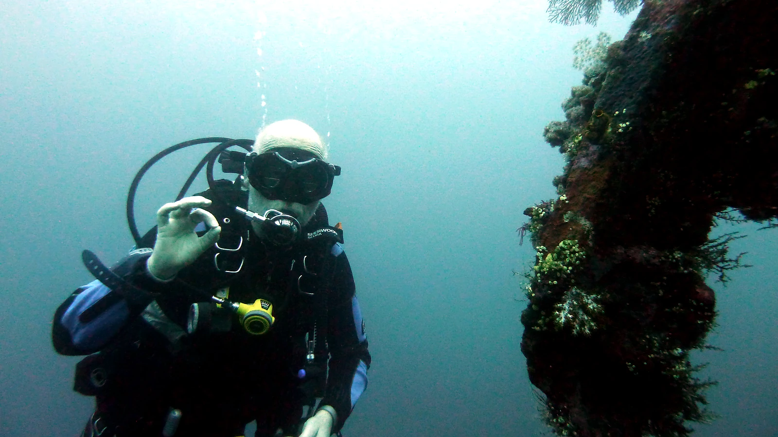Cover image for the article: Responsible Diving in Bali: Reefs & Wildlife