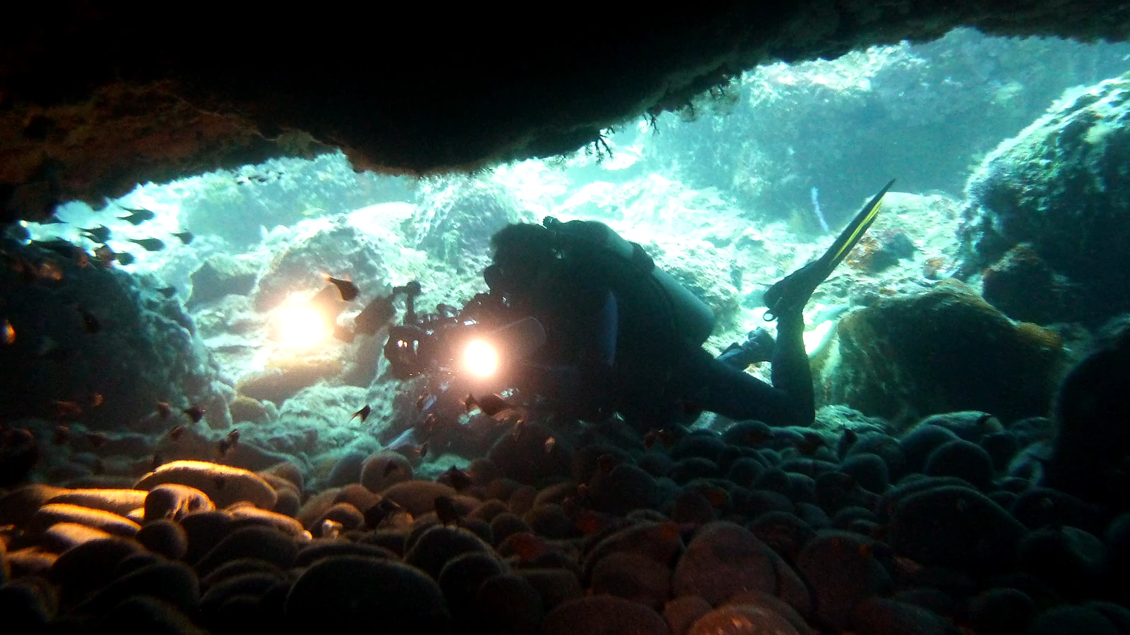 Cover image for the article: Safe Diving in Bali: Health, Insurance & Flying
